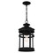 Quoizel Scout 1-Light Matte Black Mini Pendant SCO1509MBK - alternate 6